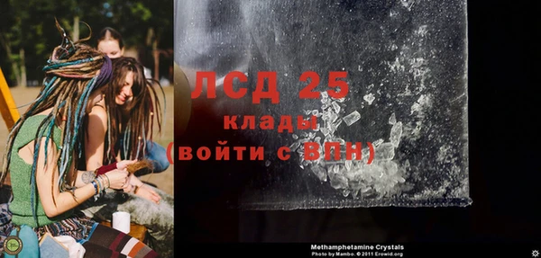 ГАЛЛЮЦИНОГЕННЫЕ ГРИБЫ Бугульма