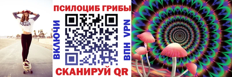 shop Telegram  Моздок  Галлюциногенные грибы Cubensis 